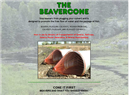 Beavercone Products