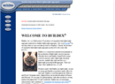Buildex