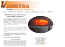 Ametsa