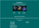 Advanced Metal Services Group